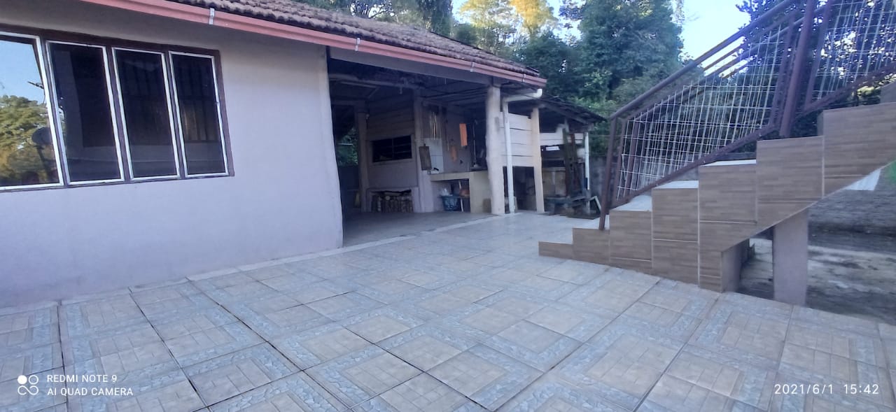 Gallery 01