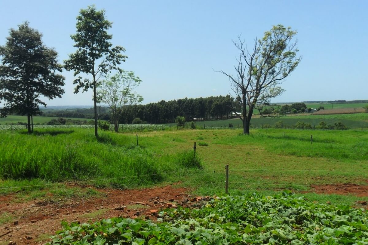 Área de terras - Tuparendi