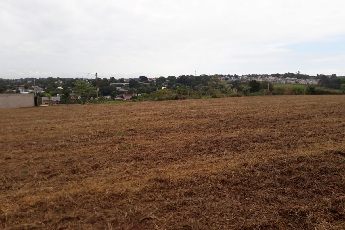 Área de terras - Vargas