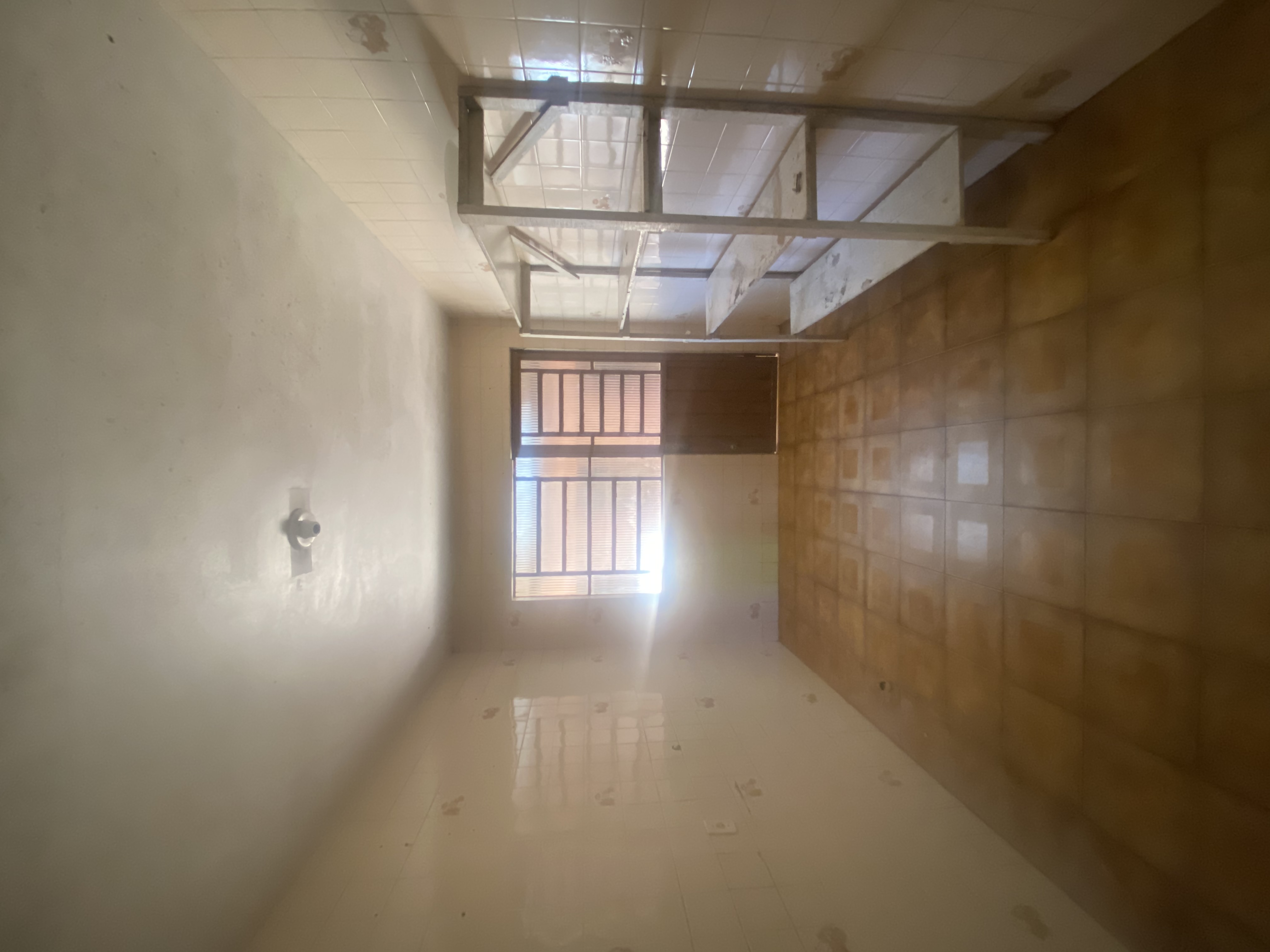 Gallery 01
