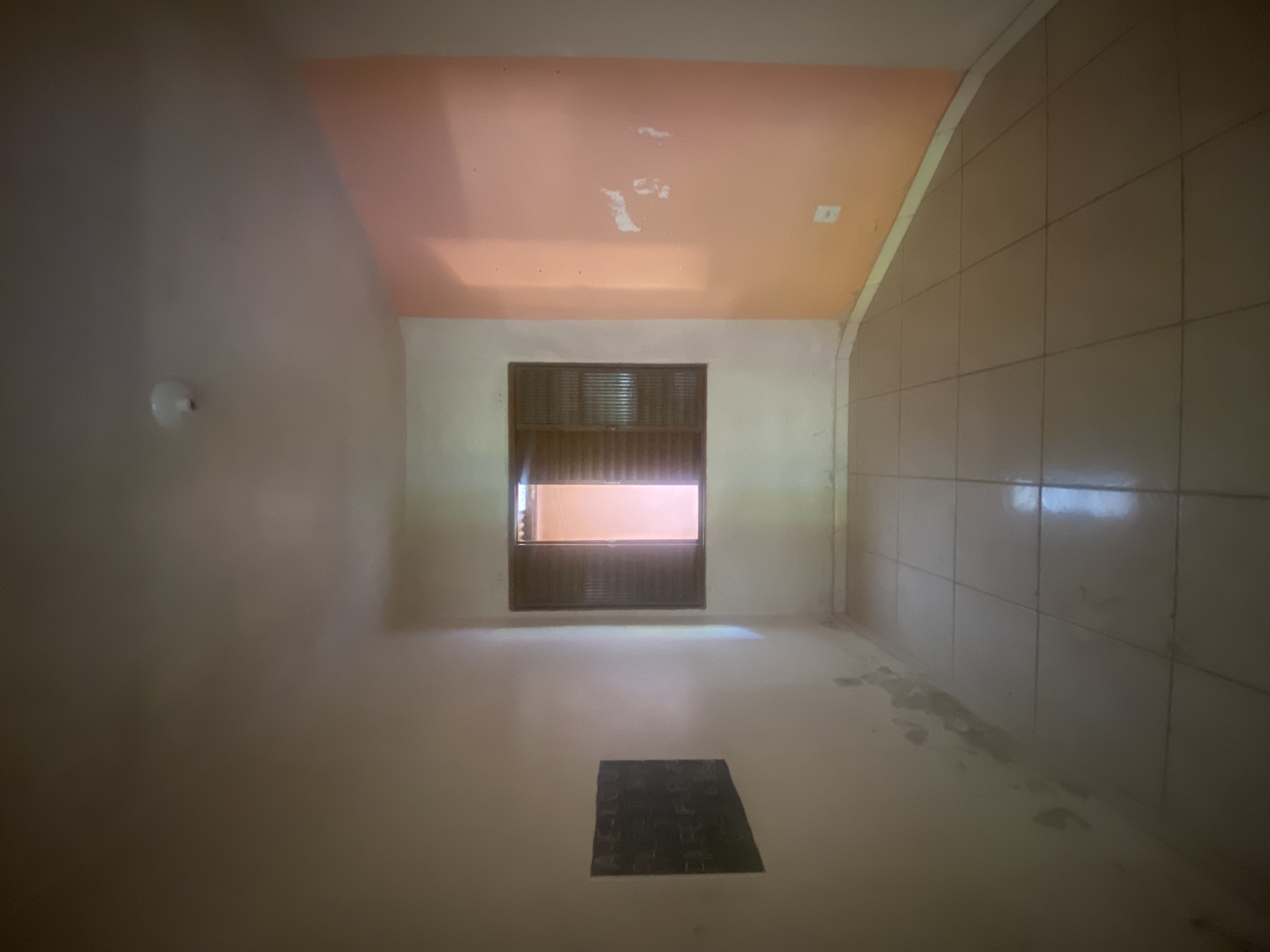 Gallery 01