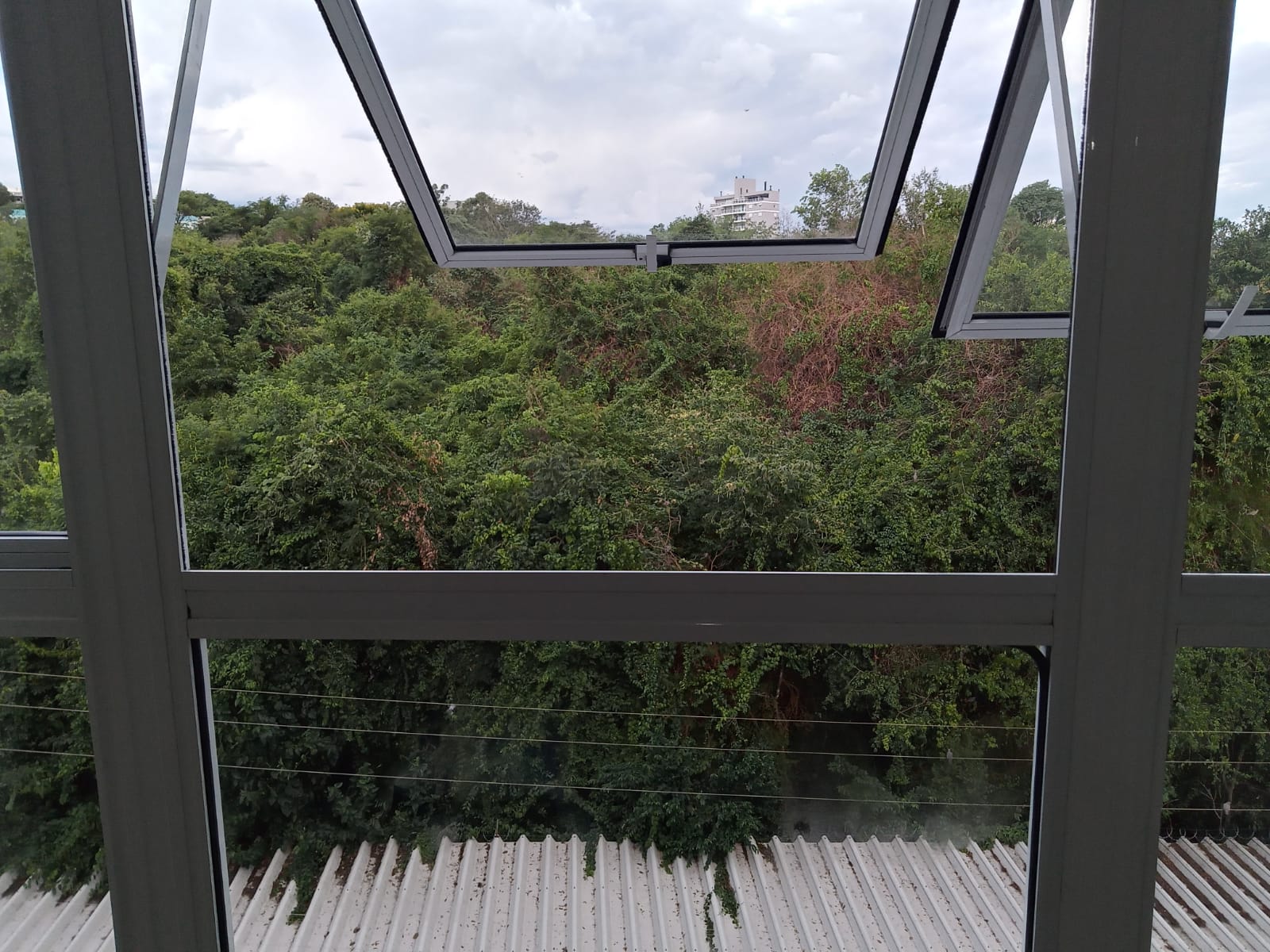 Gallery 01