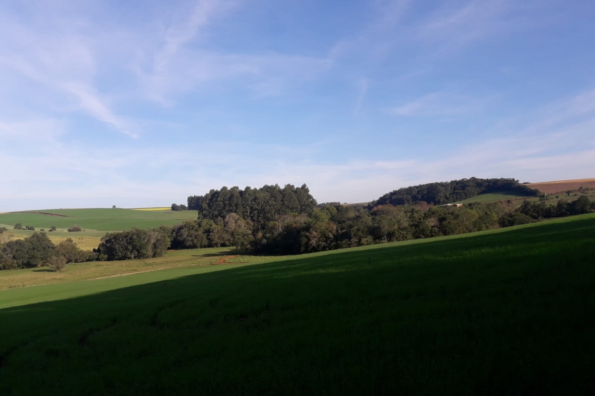 Chácara - Candeia Alta