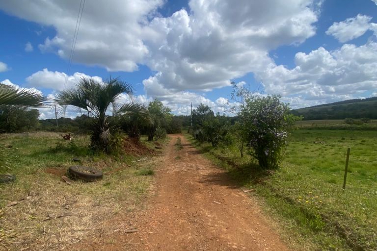Chacará  - com benfeitorias e área de plantio