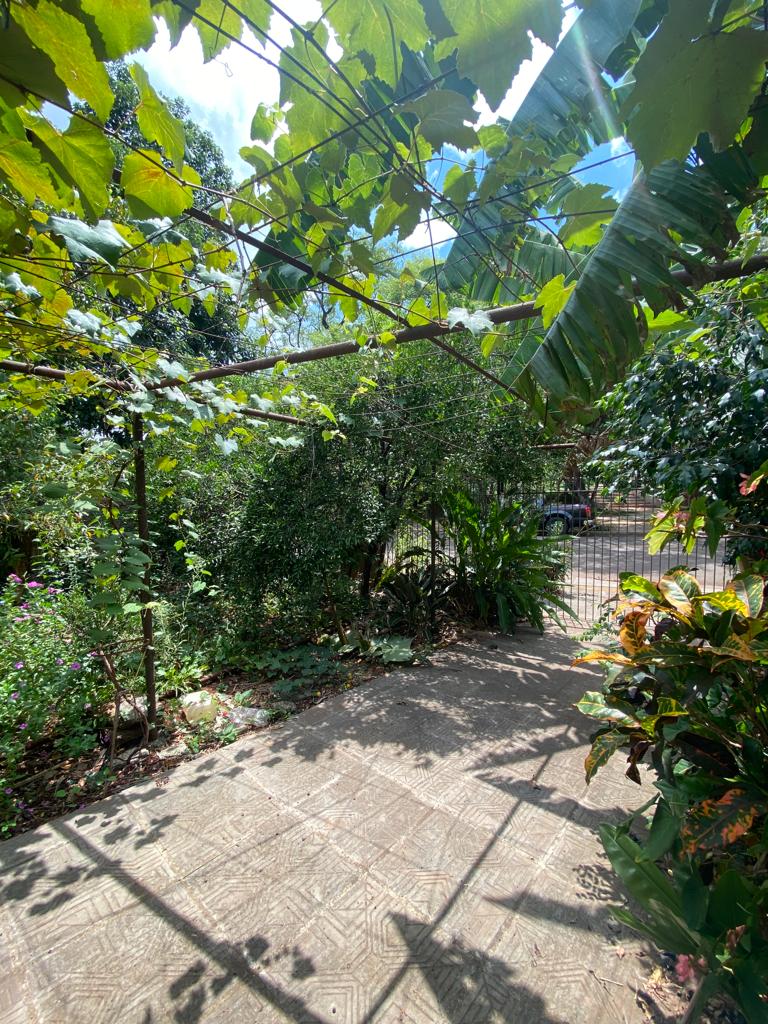 Gallery 01