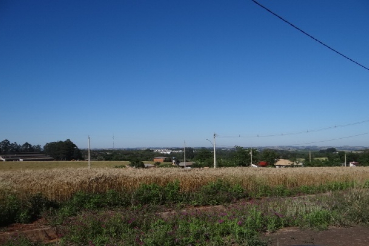 Terrenos - Loteamento Del Vale