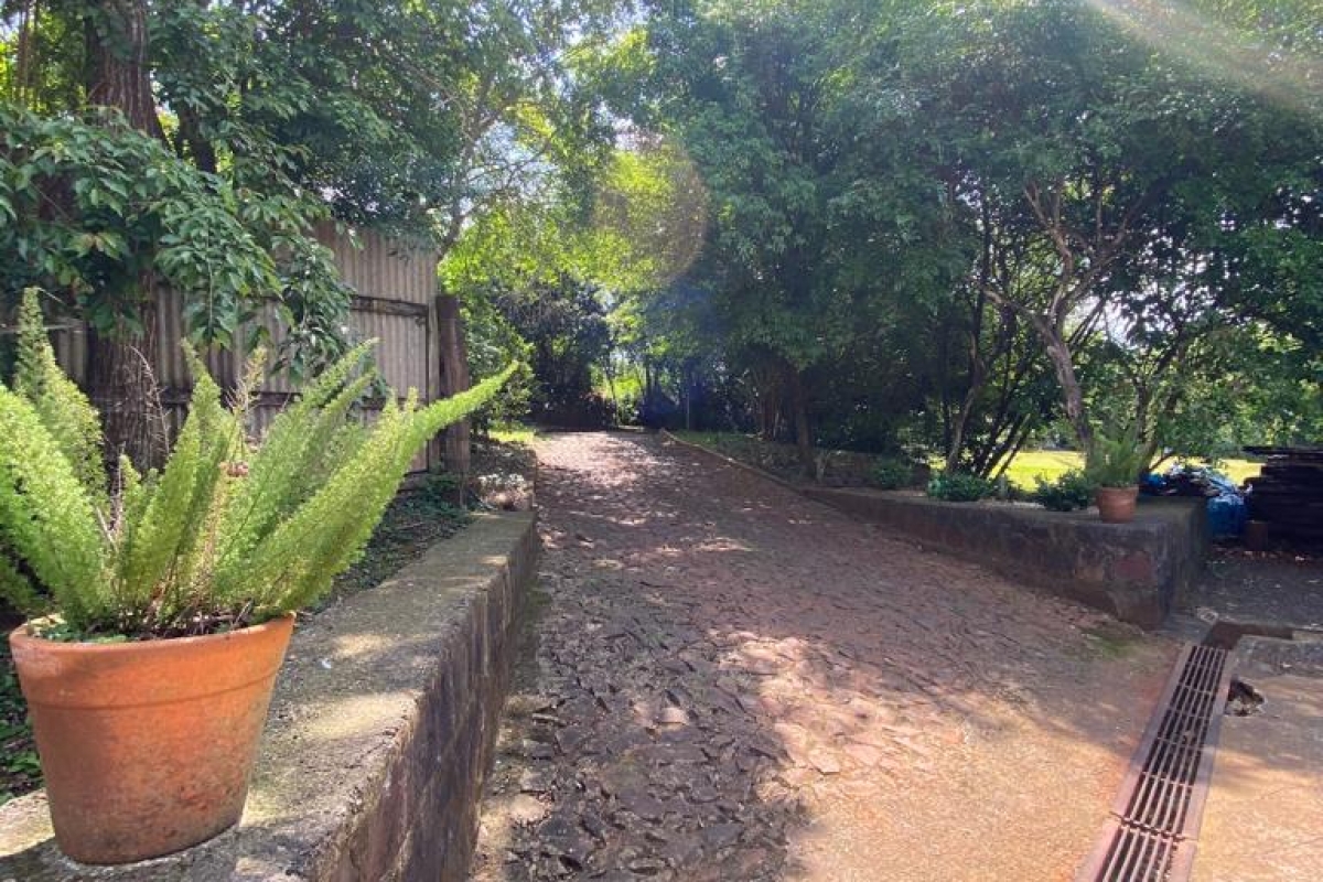 Lindo Sítio - Dentro da Cidade