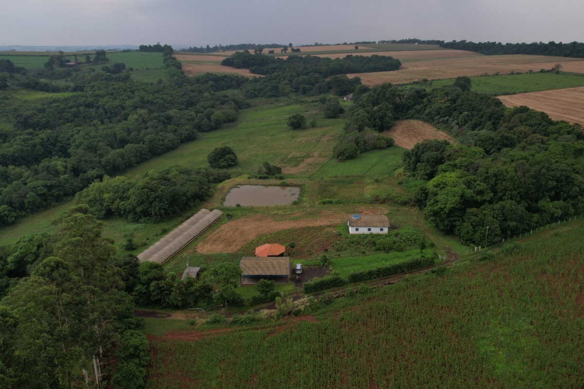 SÍTIO - CAMPO DA AVIAÇÃO