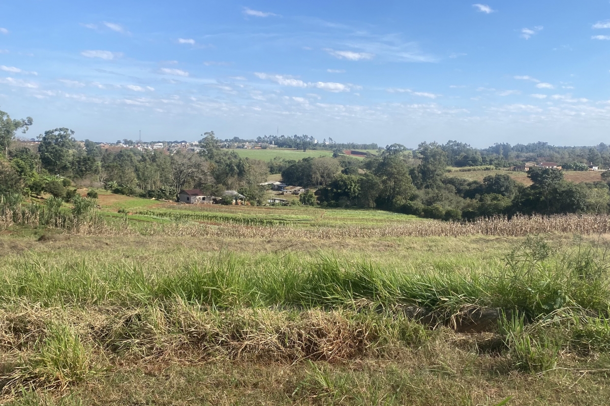 Terreno - Lot Vargas