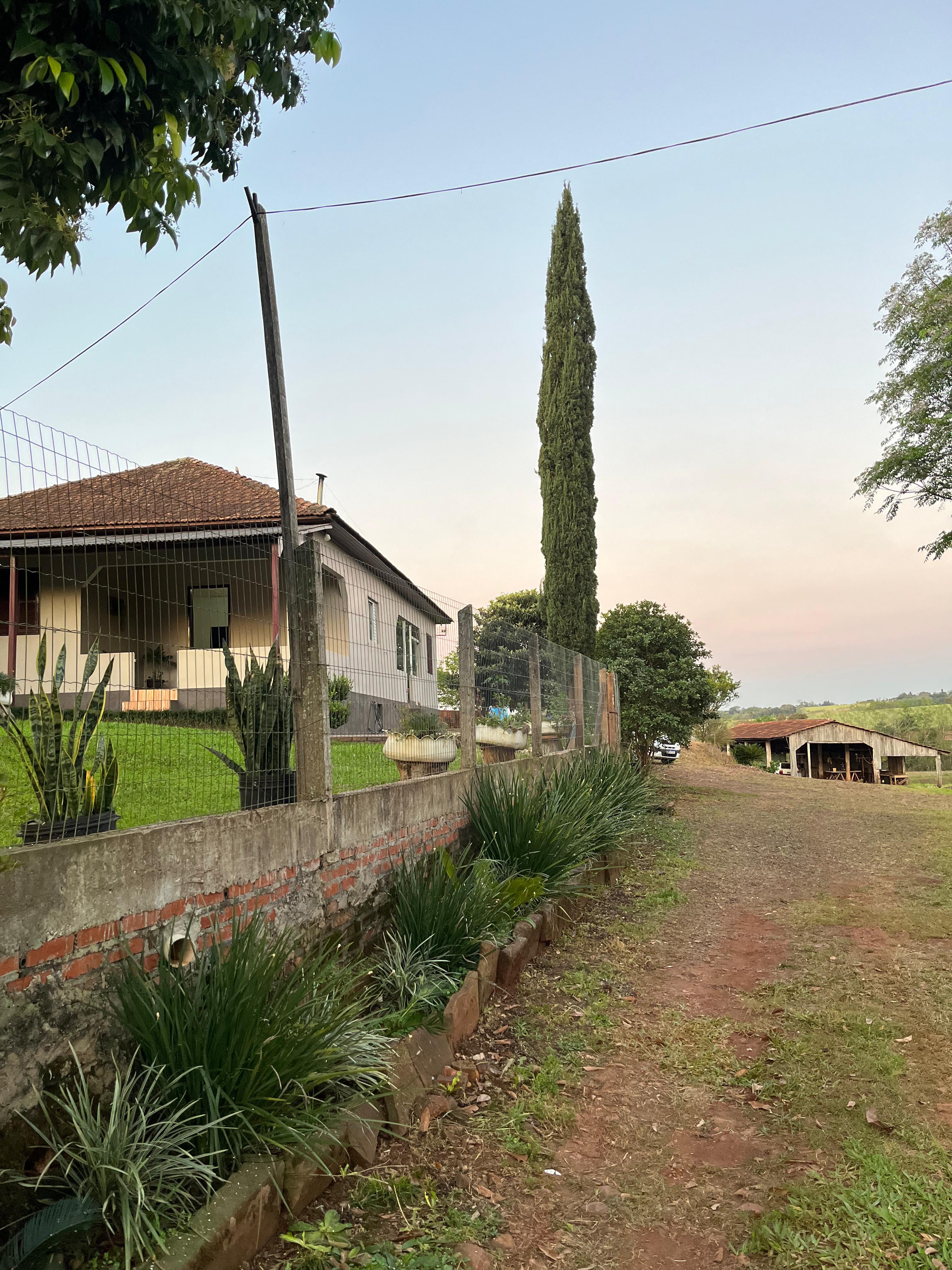 Gallery 01