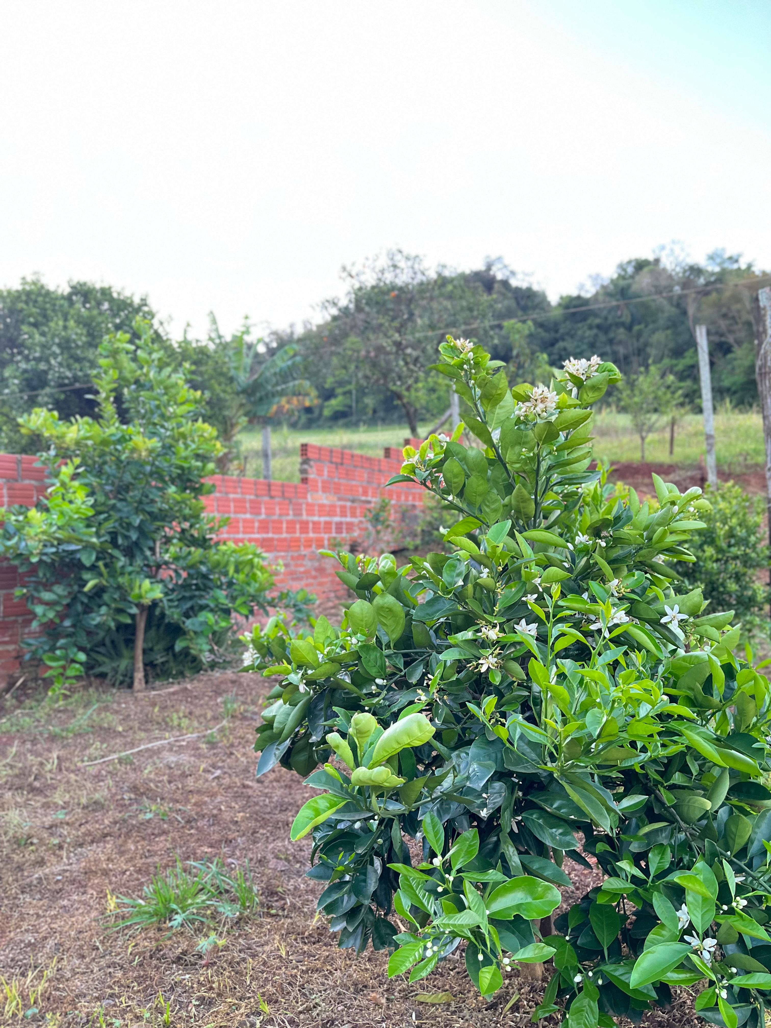 Gallery 01