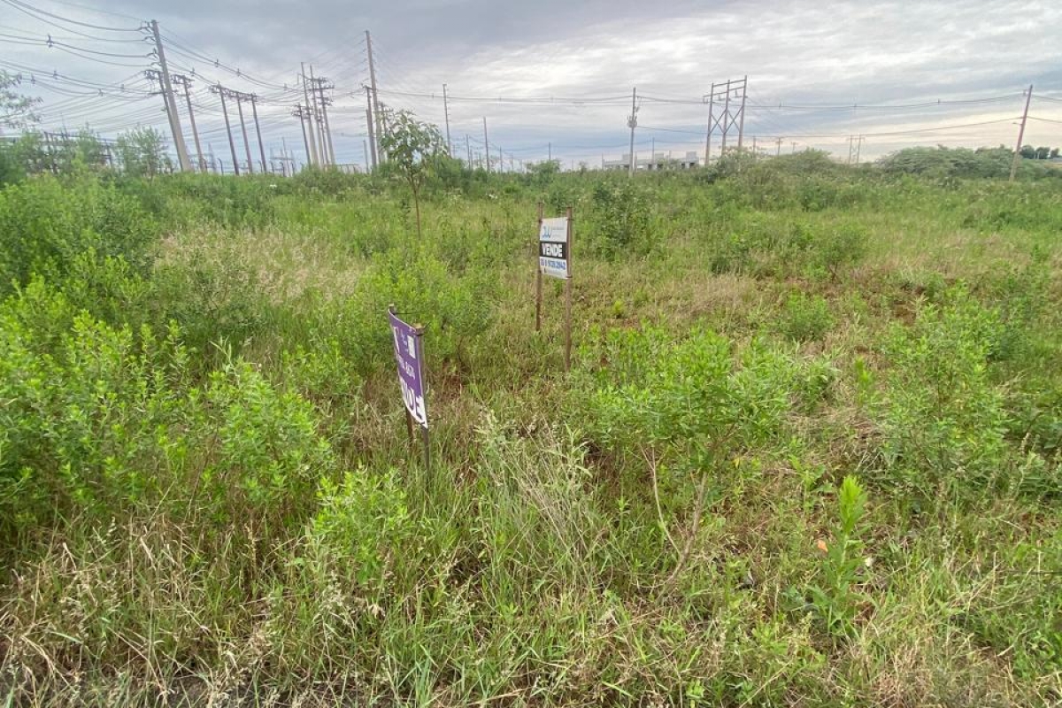 Terreno Urbano - Figueira