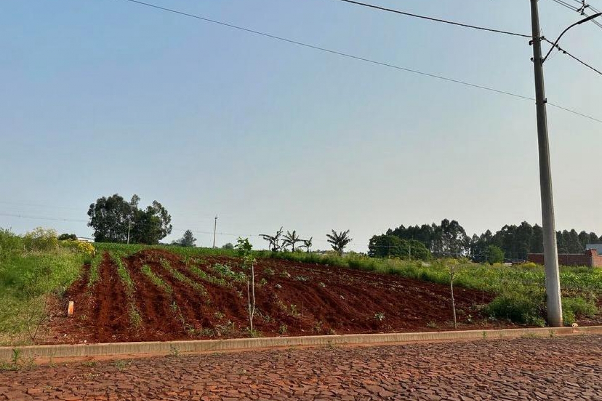 Terreno - Município de Tuparendi RS