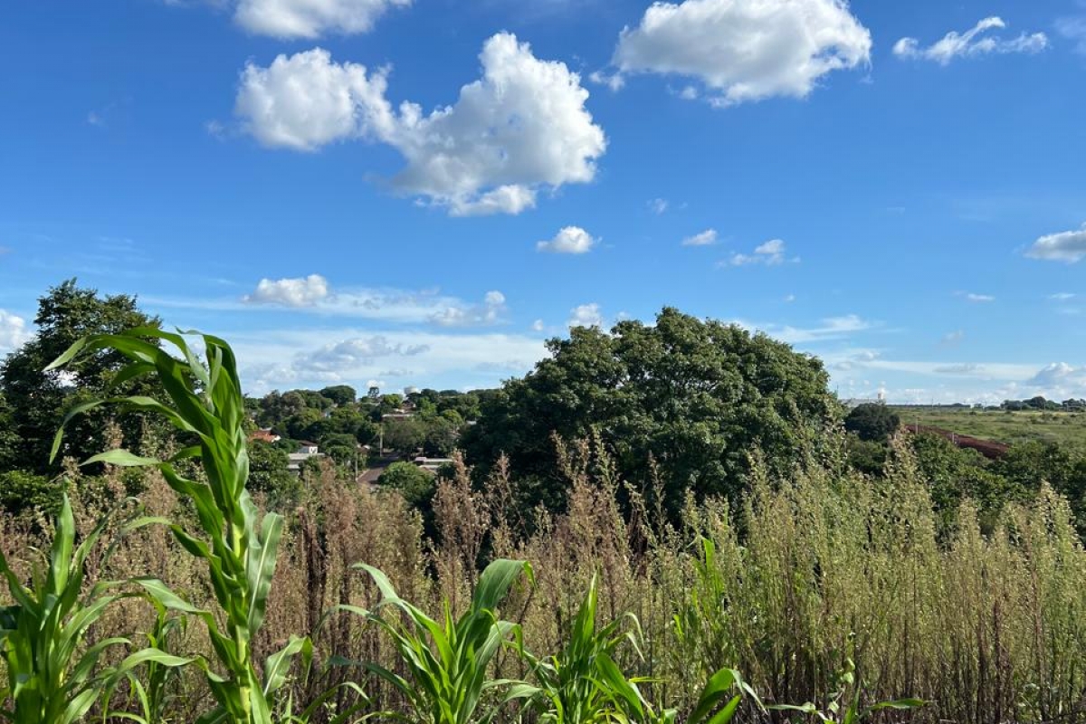 Terreno - Lot Vargas