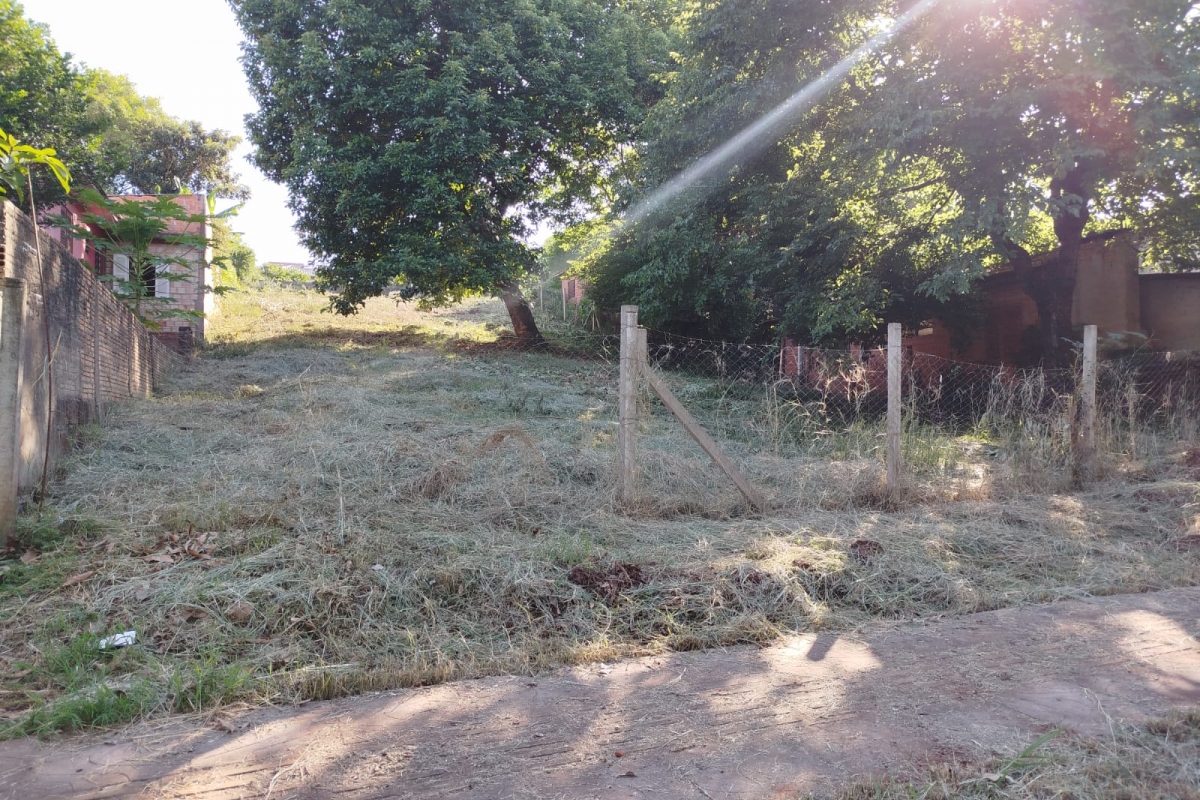 Terreno Grande - B. Cruzeiro
