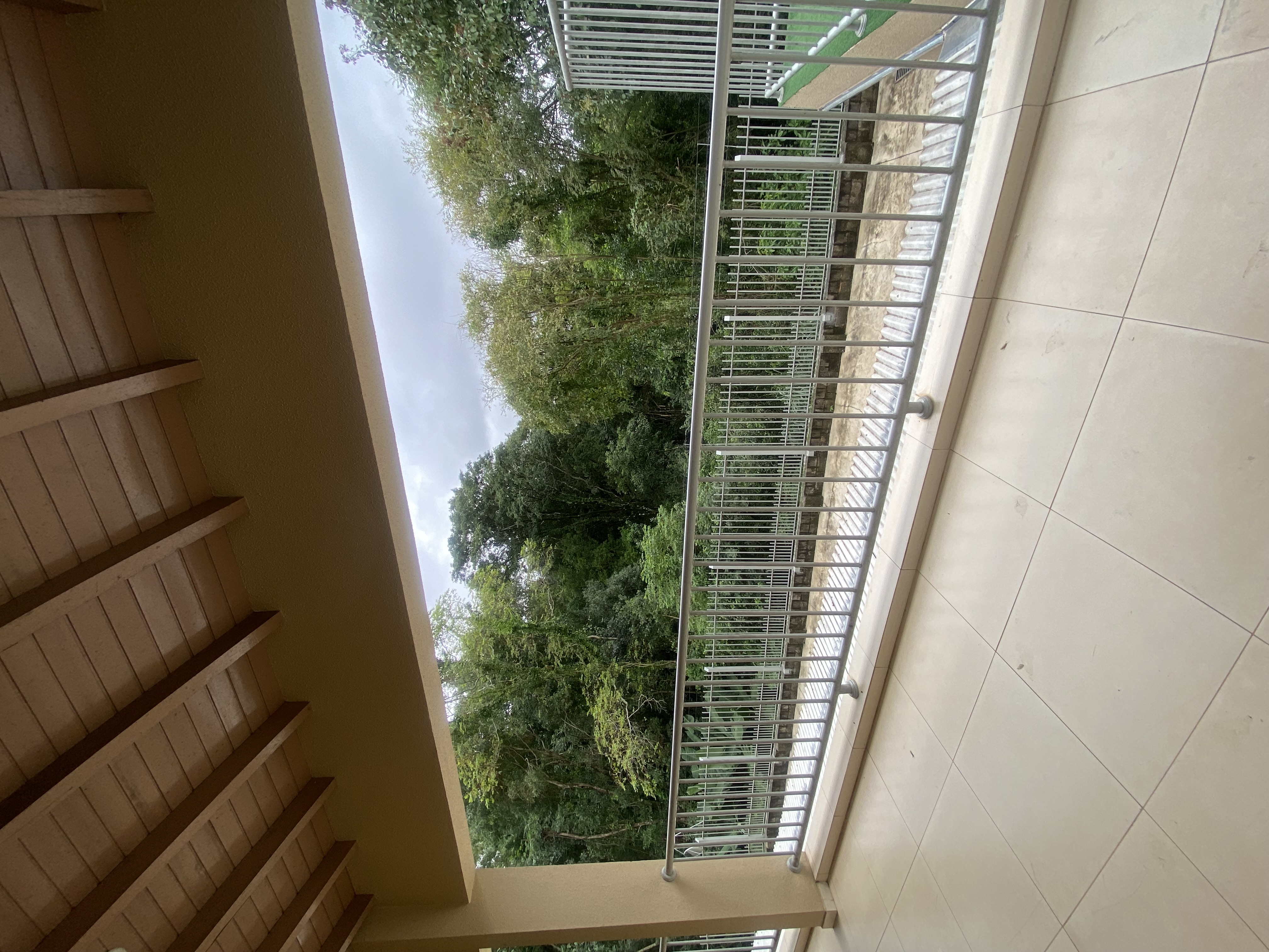 Gallery 01